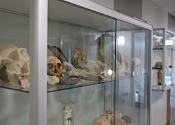 Schule An Der Triessnitz In Jena Offiziell Uebergeben 10