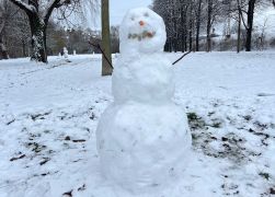 Flockenwirbel In Jena Schneemaenner Erobern Die Stadt 03