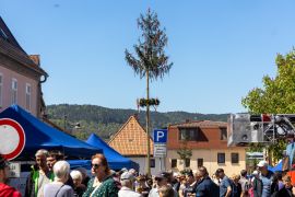 Bbjp20260501a0055