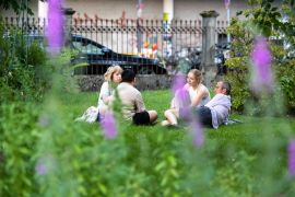 Image00077
