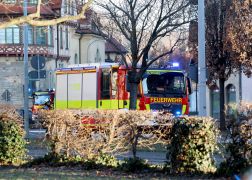 Baumgarten Jenpictures 03