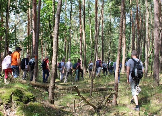 Natur- und Geschichtsinteressierte können mit dem Verein rund um den Walpersberg wandern.