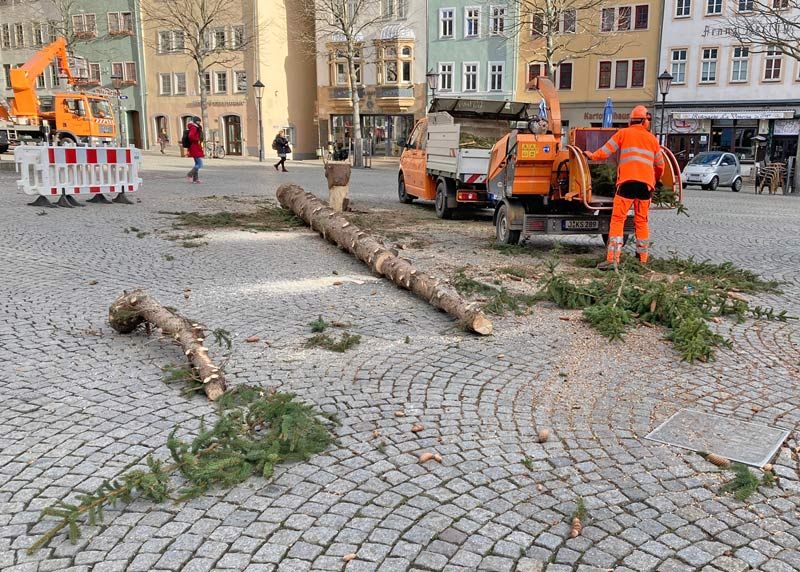 Die prächtige Fichte hat ausgedient und wird nun entsorgt.