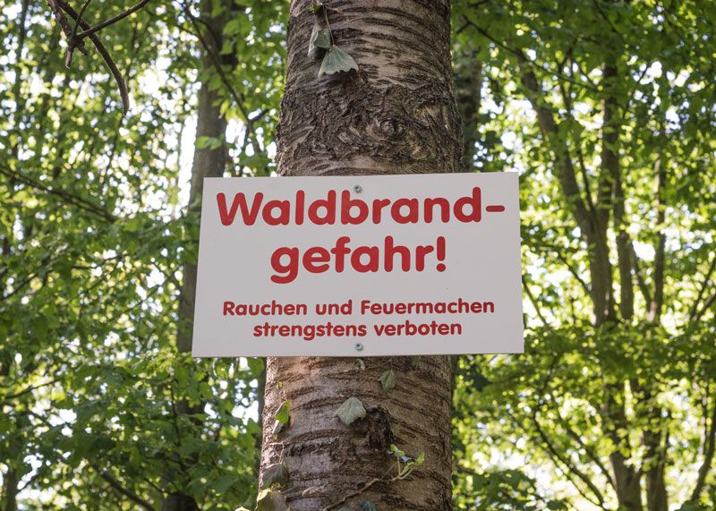 Erhöhte Vorsicht: Für Jena gilt Waldbrandwarnstufe 4.