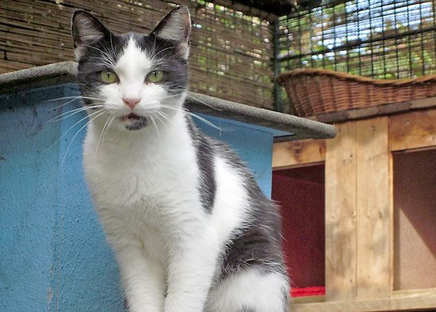 Bei zwei Führungen können sich die Besucher über die Bedingungen informieren, unter denen die Tiere untergebracht sind.