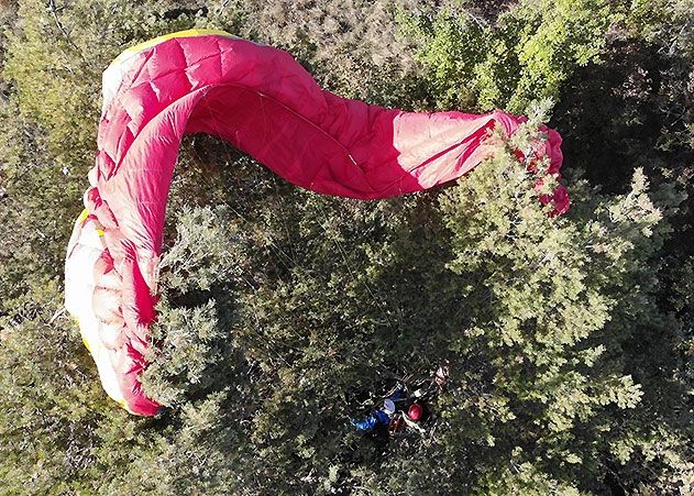 Ein Gleitschirmflieger verfing sich in mehreren Metern Höhe im Baum und musste gerettet werden.