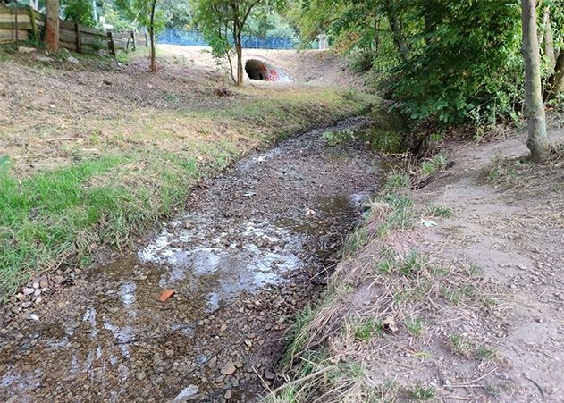 Wegen des warmen Wetters in den vergangenen Wochen befinden sich viele Gewässer in einem kritischen Zustand. Hier ein Foto des Gemdenbaches in Jena-Ost, der zeitweise völlig zum Stillstand kam.