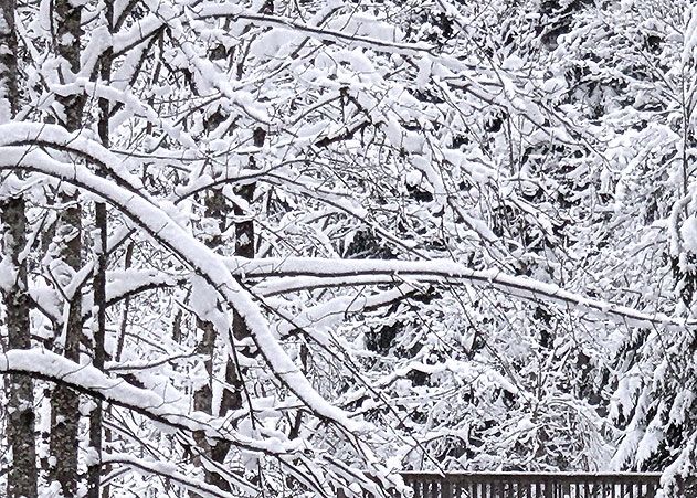 Der Wintereinbruch hat am Donnerstagmorgen im Jenaer Mühltal zu einem Unfall gesorgt.