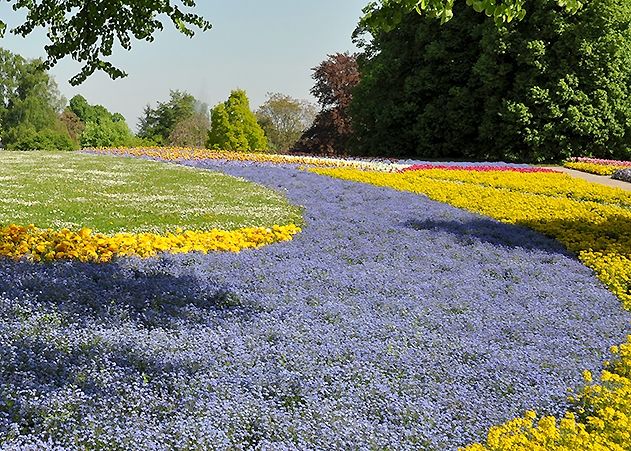 Über 250.000 Blumen sollen den Stadtteil Winzerla schöner machen.