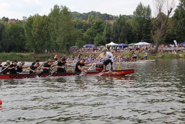 Drachenboot-Rennen 2013