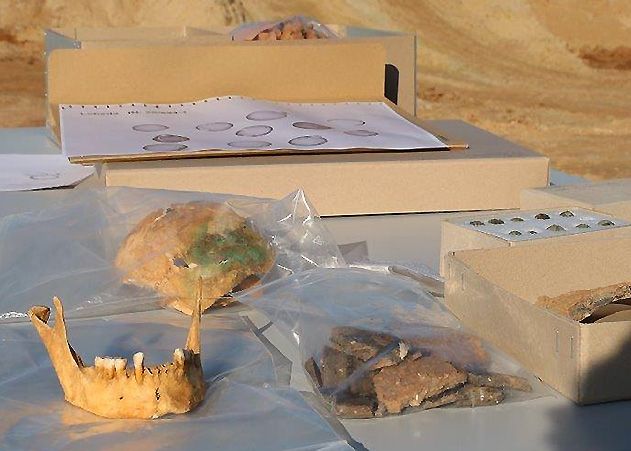 Grabstätte samt Skelett und Schmuckbeigaben: Am Freitag stellten Archäologen die Ergebnisse zu den im Oktober in Jena-Lobeda gefundenen Knochen vor.