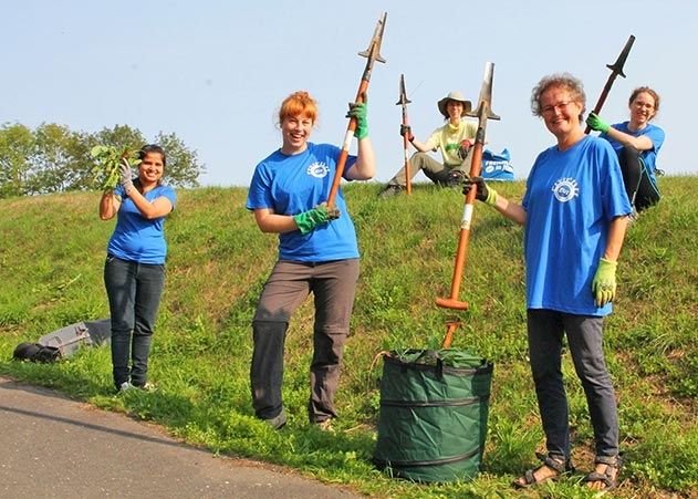 In Winzerla ging es der invasiven Zackenschote an den Kragen.