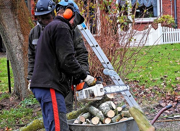 Kostenfrei können die zur Zeit anfallenden Gartenabfälle abgegeben werden.