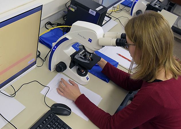 Doktorandin Annika Schmitt nutzt den modernen Mikroskopie-Arbeitsplatz im Physikalischen Grundpraktikum, dessen Einrichtung ZEISS unterstützt hat.