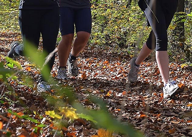 Laufstrecken in Jena sind so schön, dass selbst Jogger Muffel ihre Freude daran hätten.