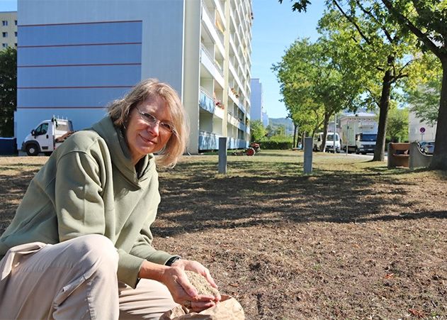 Aus bis zu 60 verschiedenen Wildblumen und Kräutern stellt Landschaftsarchitektin Kristiane Schley die Saatmischung für die Bienenweiden zusammen.