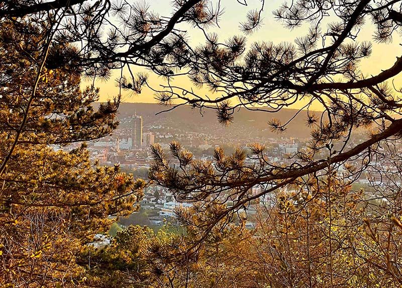 Blick vom Jenzig in Jena.