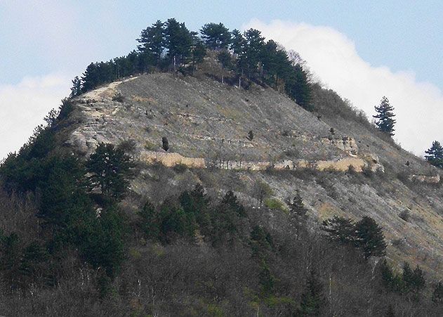 Der Jenzig. Jenas markantester Berg.