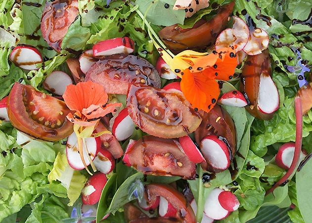 Ein bunter Sommersalat ist eine gesunde Sache. Wer die eigenen Ernährungsgewohnheiten überprüfen will, kann an der Online-Studie der Uni Jena teilnehmen.