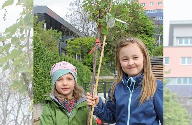 Frieda (rechts) und Marlene (links), Vorschulkinder der Kita Sternschnuppe.