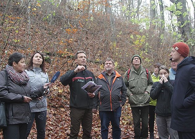 Jenas Stadtförster Olaf Schubert (m.) beim Treffen mit Wald- und Umweltexperten im Jenaer Stadtwald. 2. v.l. Thüringens Umweltministerin Anja Siegesmund, re. Stadtentwicklungsdezernent Denis Peisker (beide Bündnis 90/Die Grünen).