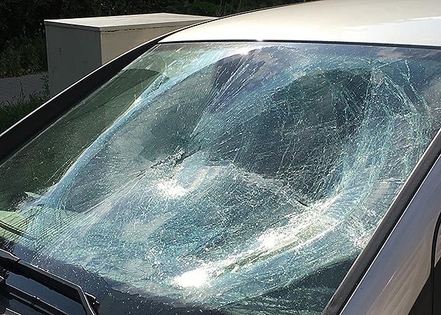 Gestern Nacht wurde das Auto des Jenaer AfD-Direktkandidaten Denny Jankowski attackiert.