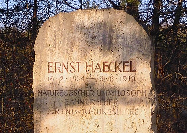 Ernst-Haeckel-Gedenkstein in Jena