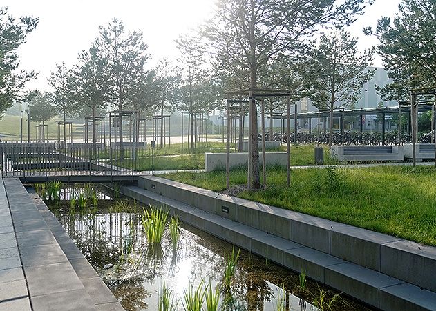 Vor allem Gewässer und Bäume spielen eine wichtige Rolle bei der Gestaltung der Außenanlagen am Jenaer Uniklinikum.