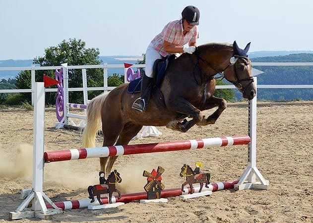 Tina Hüttenrauch beim Stilspringen auf Ultima. Der RSV Mühle Cospeda begeht in diesem Jahr sein 20-jähriges Gründungsjubiläum.