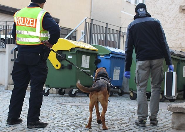 Ein Personenspürhund der Polizei soll bei Suche nach den Tätern helfen.