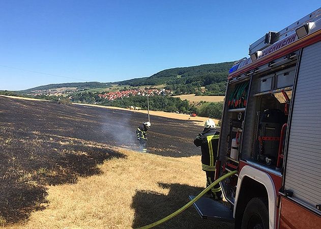 Die lange anhaltende Trockenheit hatte eine solche Situation befürchten lassen: Mit einem Flächenbrand hatten die Jenaer Feuerwehren am Montagnachmittag zu kämpfen.