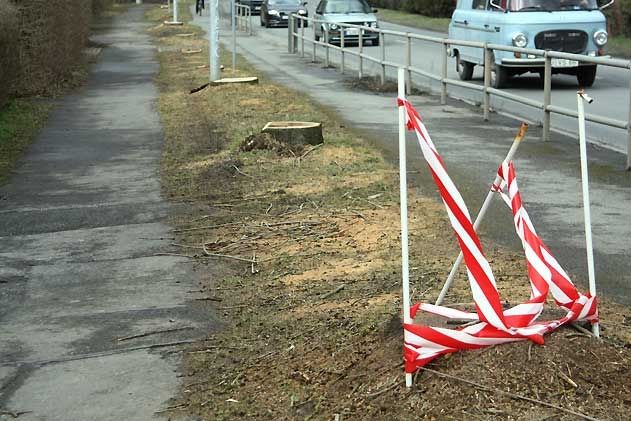 Der Ausbau des Geh-Radweges Richtung Mühltal erzwang die Fällung von 22 Bäumen.