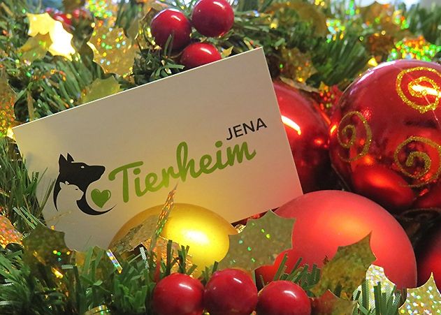 Am zweiten Advent lädt das Jenaer Tierheim zum Adventskaffee ein.