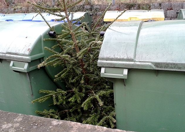 Weihnachtsbäume werden vor der Haustür abgeholt.