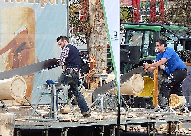 Wer zerlegt am schnellsten den Baumstamm? Sägewettbewerbe zählten zum Programm des 16. Thüringer Holzmarktes in Jena.