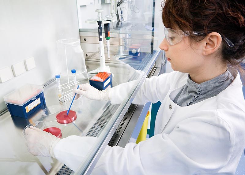 Die am Beutenberg ansässige Wacker Biotech GmbH bietet 21 Interessierten Einblicke in die Arbeitswelt der Biotechnologie.