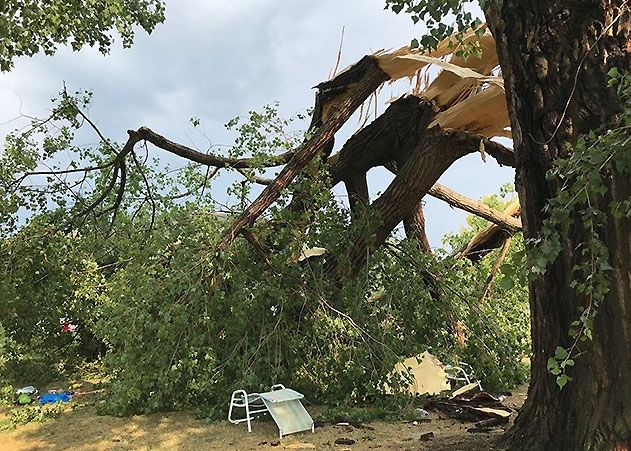 Durch einen umgestürzten Baum wurden eine Achtjährige und ihre Mutter zum Teil schwer verletzt.