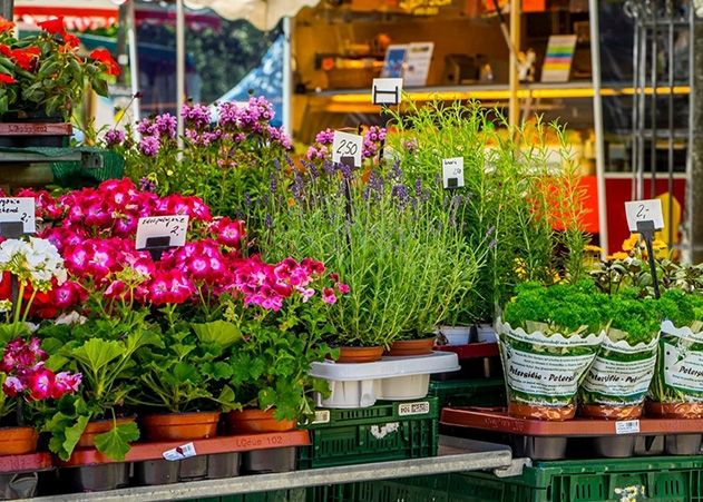 Der Jenaer Wochenmarkt muss wegen mehreren Veranstaltungen umziehen.