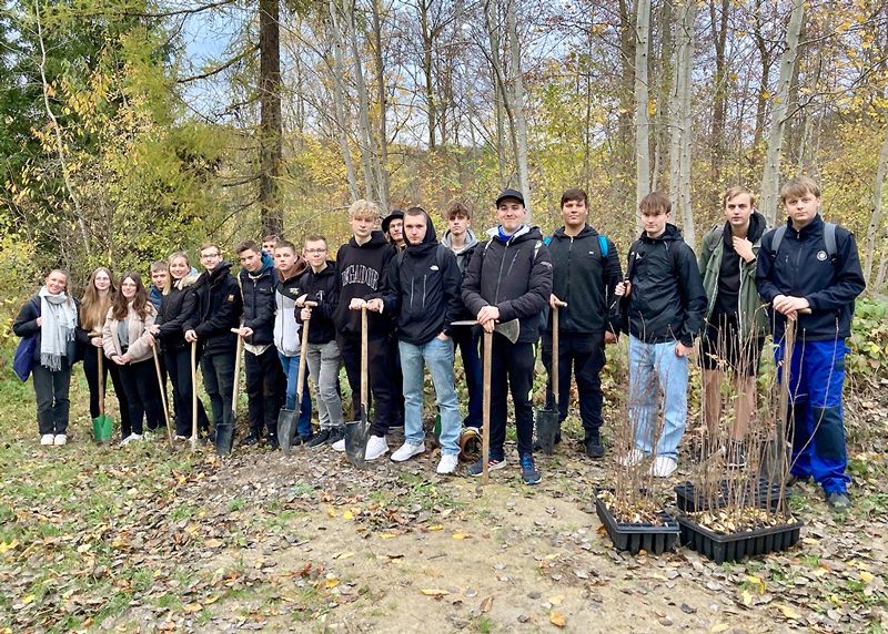 Die Stadtwerke-Azubis pflanzten diese Woche 30 neue Laubbäume im Singerwäldchen.