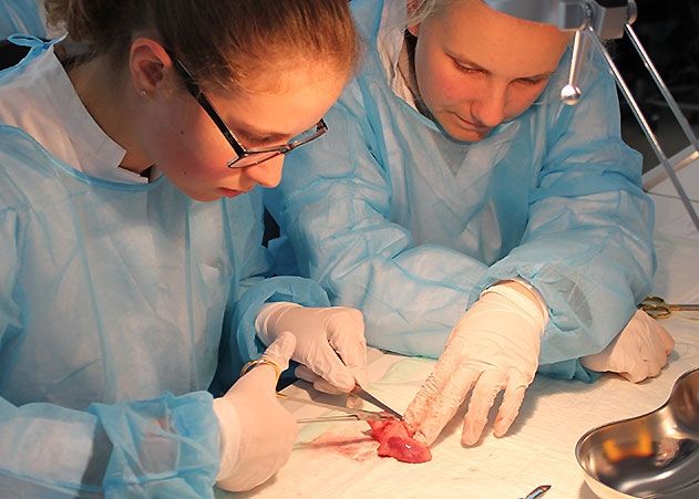 Das Forschungszentrum des Uniklinikums öffnet in den Herbstferien wieder sein Schülerlabor für künftige Herzchirurgen und Biomediziner.