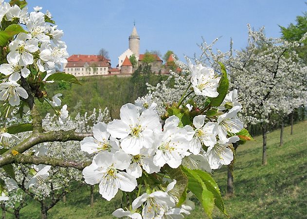 Die mittelalterliche Burganlage wurde in eine Frühlingslandschaft voller Blumen, Blüten, bunter Überraschungen und Inszenierungen verwandelt.