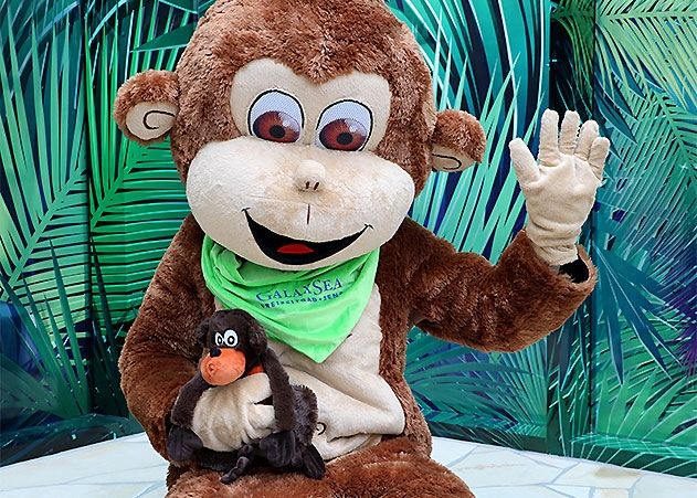 Das Bäder-Maskottchen Coco freut sich auf die Ferienkinder im Freizeitbad GalaxSea.