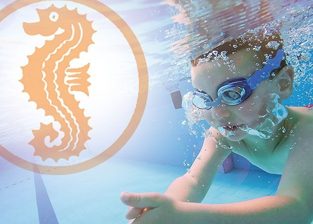 Beim „Seepferdchen“ müssen die Kinder 25 Meter schwimmen können und einen Gegenstand aus einem bauchtiefen Wasser mit einer Hand heraufholen.