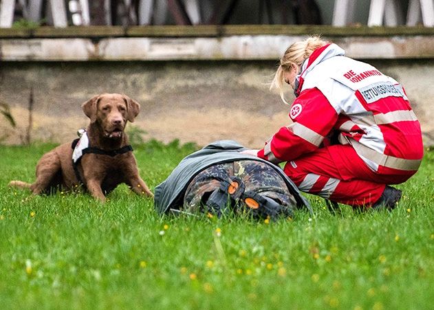 Die Rettungshundestaffel ist mit ihren vielseitig einsetzbaren Rettern auf vier Pfoten vor Ort.