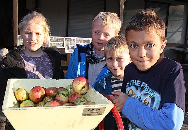 Luca, Sean, Artur und Alamea (v.r.) pressten ihren eigenen Apfelsaft. Anschließend durfte gekostet werden.