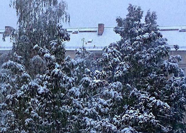 Starker Schneefall sorgte im Jenaer Umland für Stromausfall.