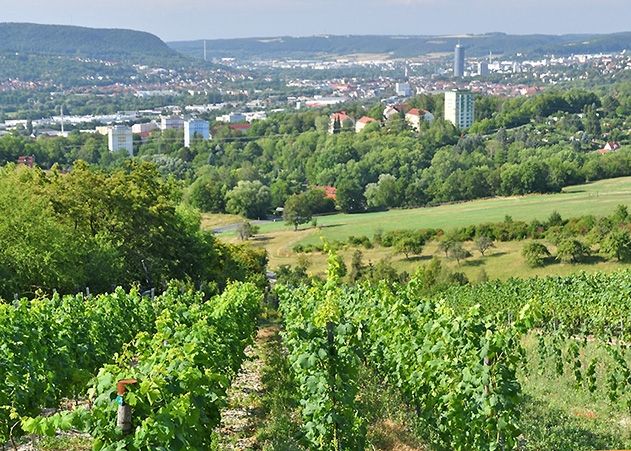 Blick von den Weinberg in Jena-Zwätzen.