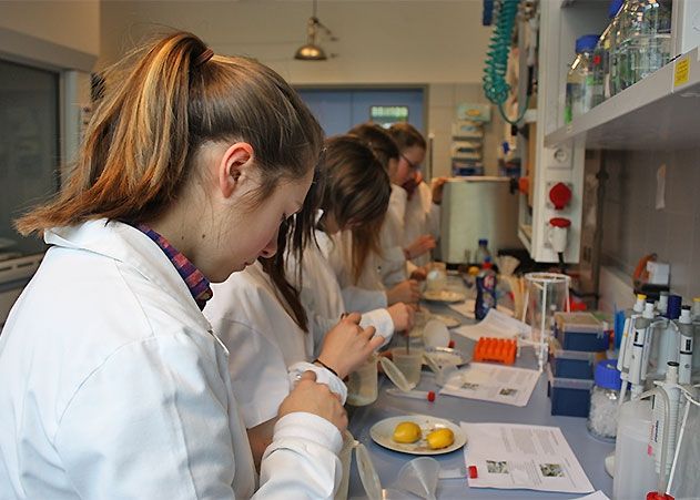 Wie man die DNA einer Banane extrahieren kann erklärte Wissenschaftlerin Barbara Seise den Schülerinnen und Schülern, dabei kamen sie selbst zum Einsatz und versuchten dies im Experiment.