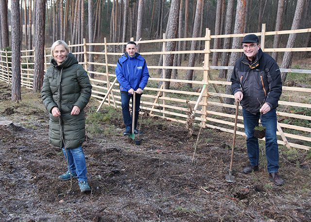 Die Stadtwerke-Geschäftsführung aus Claudia Budich und Gunar Schmidt mit KIJ-Werkleiter Uwe Feige beim Bäume pflanzen am Cospoth.
