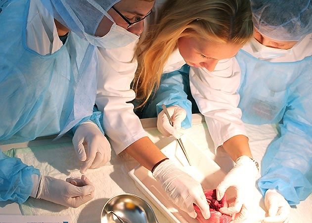 „Auch als Herzchirurgen können sich die Teilnehmer im Schülerlabor versuchen.“